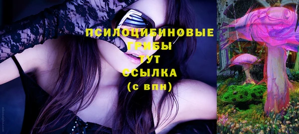 мяу мяу мука Баксан