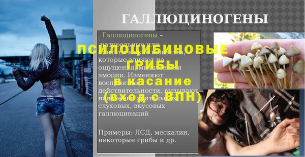 ПСИЛОЦИБИНОВЫЕ ГРИБЫ Балабаново
