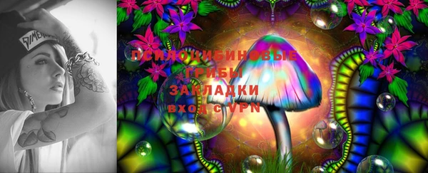 ПСИЛОЦИБИНОВЫЕ ГРИБЫ Балабаново