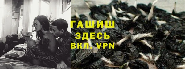 мяу мяу мука Баксан