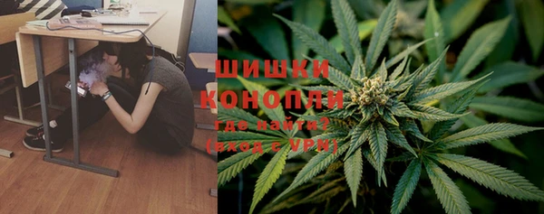мяу мяу мука Баксан