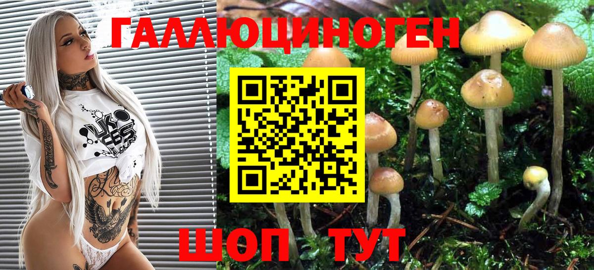 Галлюциногенные грибы Psilocybe  хочу наркоту  Белогорск  Галлюциногенные грибы мухоморы  Вход с VPN 
