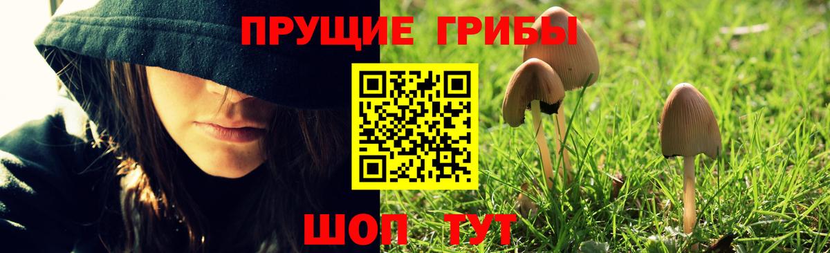 Псилоцибиновые грибы Cubensis Белогорск